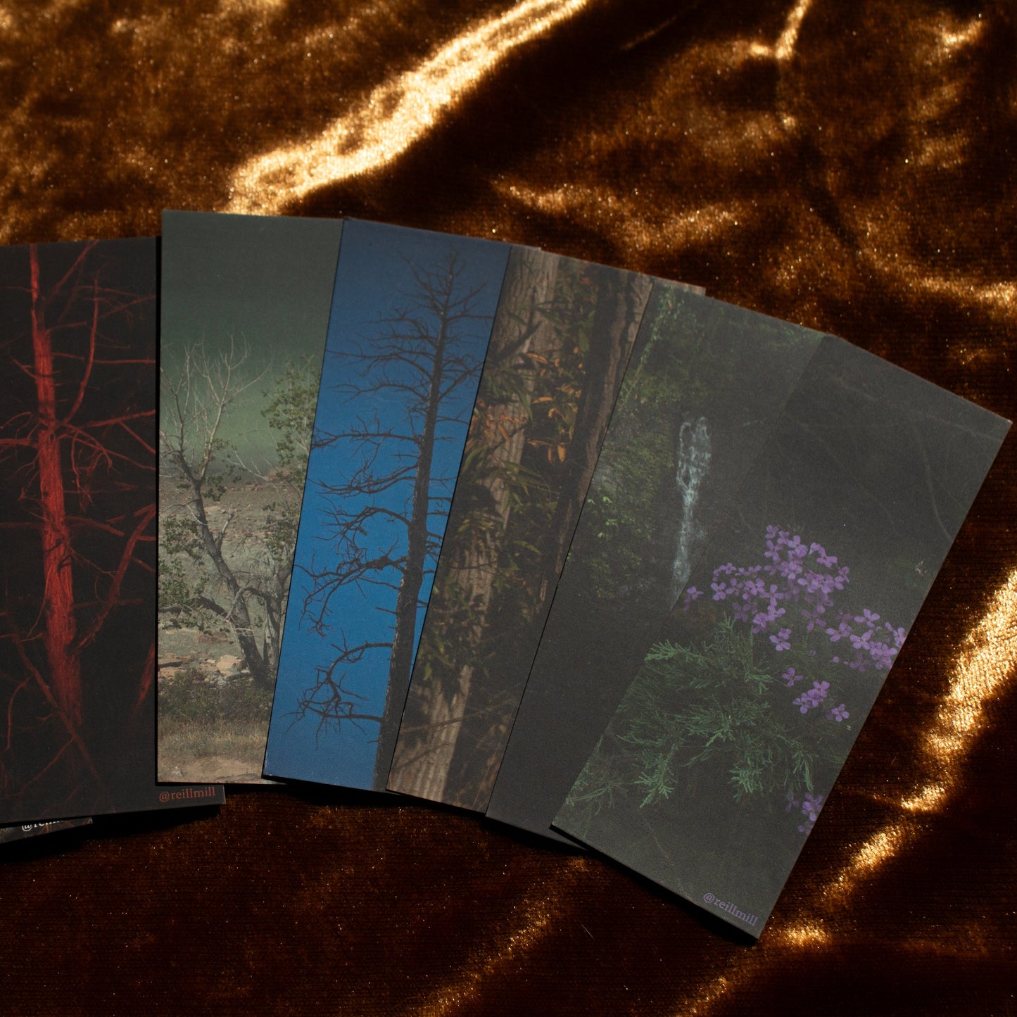 Purple Flowers - Bookmark