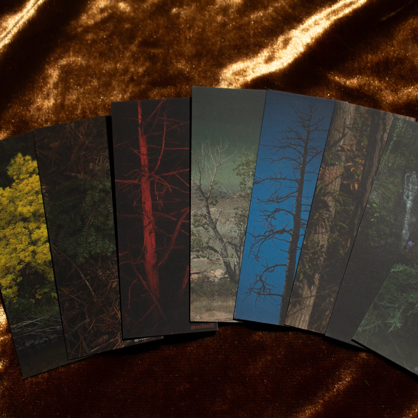 Pine Branch - Bookmark