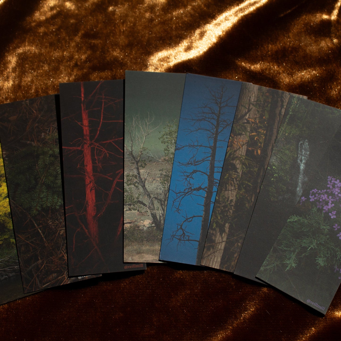 Tree by the Campfire - Bookmark