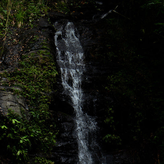 Belize Waterfall - Bookmark