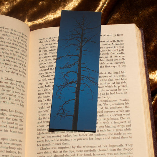 Blue Sky & Tree - Bookmark