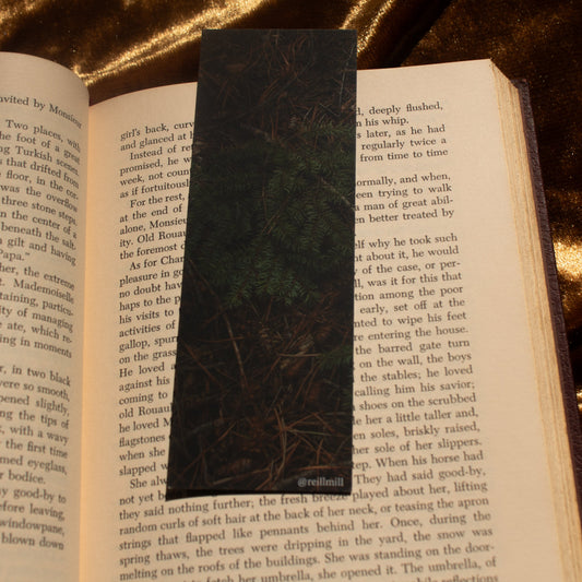 Pine Branch - Bookmark