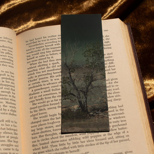 Signs of Spring - Bookmark