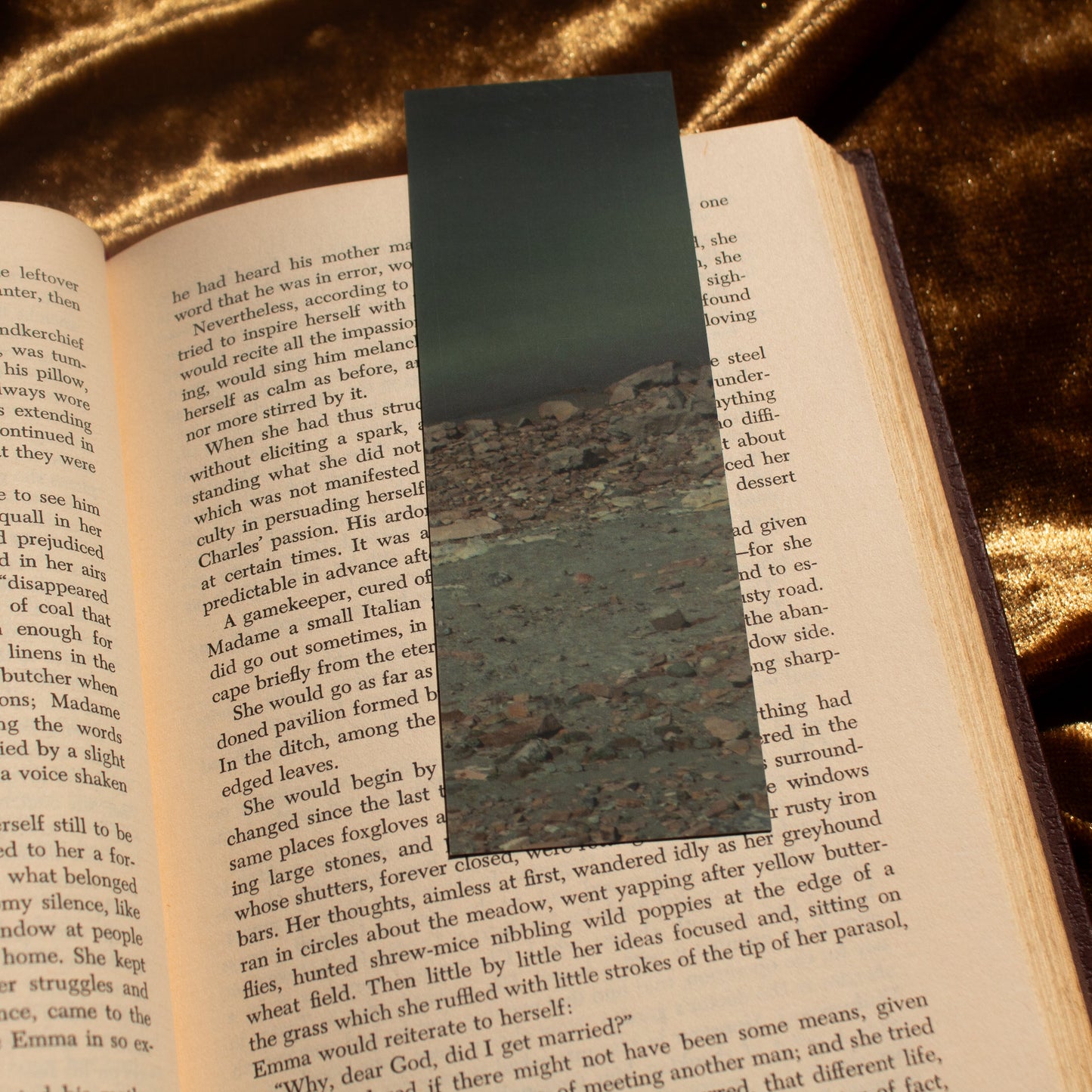 Signs of Spring - Bookmark