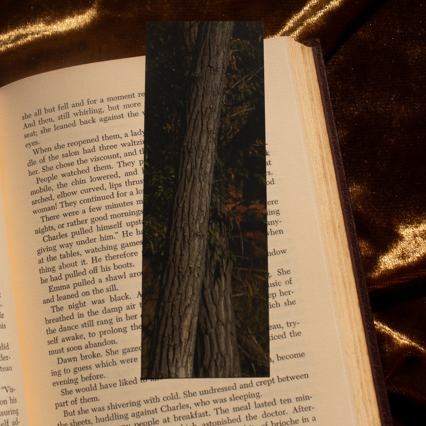 Forest Trees  - Bookmark