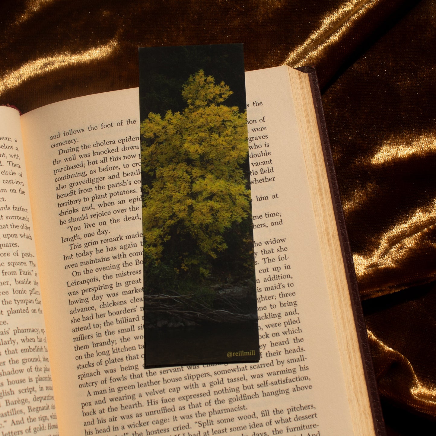 Signs of Autumn - Bookmark