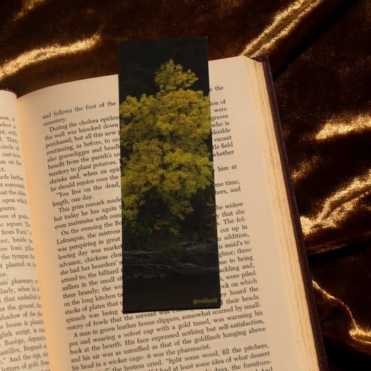 Signs of Autumn - Bookmark