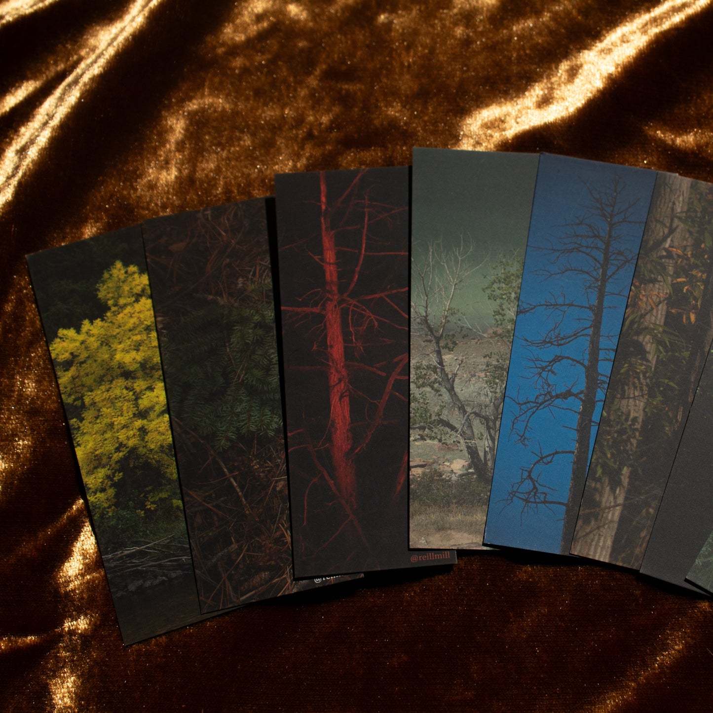 Signs of Autumn - Bookmark