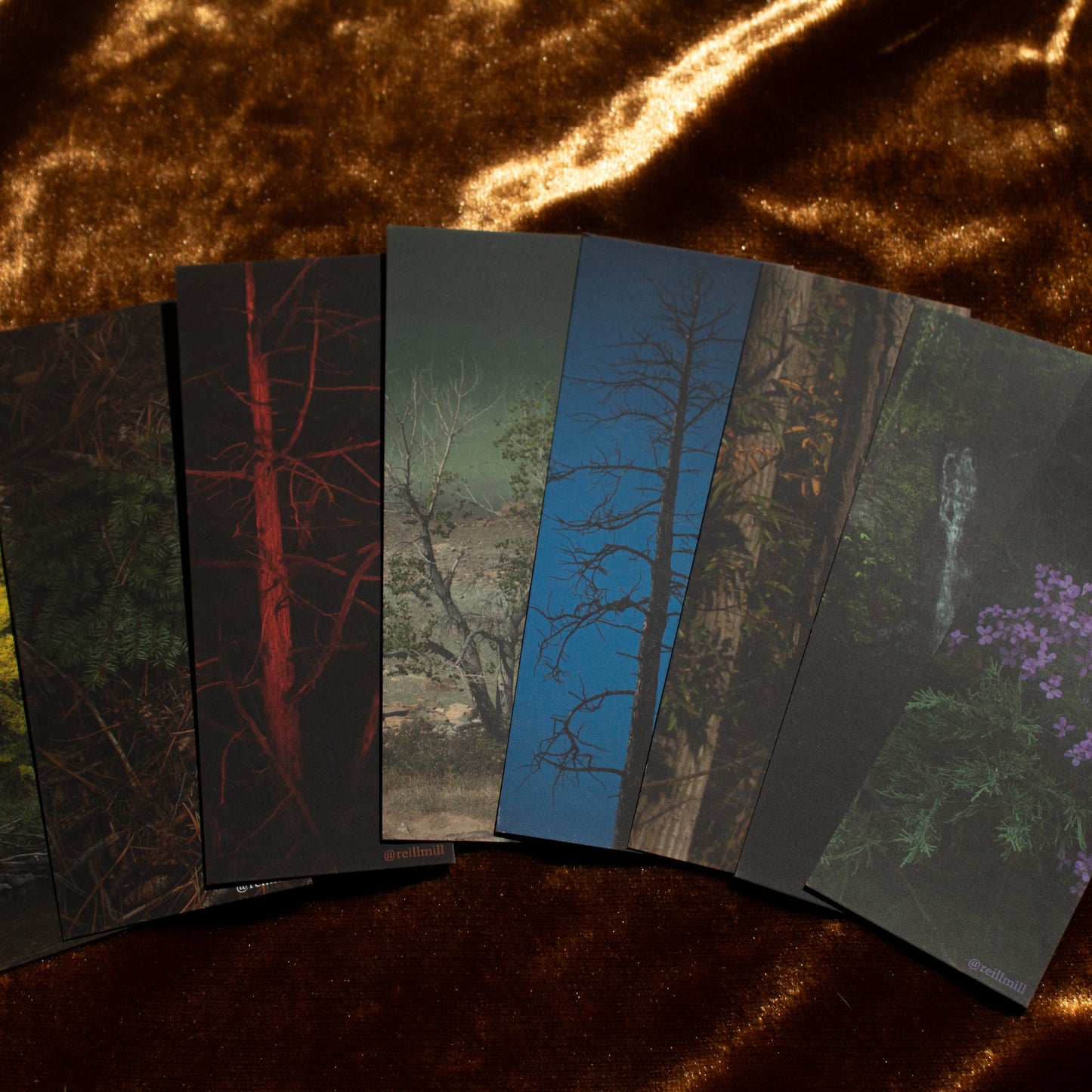 Forest Trees  - Bookmark