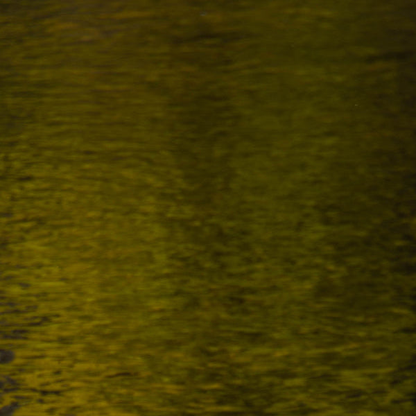 Signs of Autumn - Bookmark